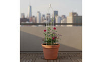European Design Potted Plant Climbing Frame Weather Resistant Garden Obelisk Trellis Heavy Duty Flowering Vine Structure Enclosure Rustproof for Gardeners, Balcony, Patio