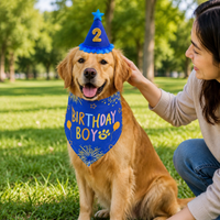 Dog Birthday Costume Banner, Cone Hat, Triangle Bandana Set, Pet's Special Day Celebration