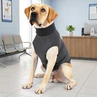 Dog Comfort Vest for Calming Relief, Polyester Jacket Vest in a Casual Style for Autumn Wear, Pet Calming for Visits and Separation