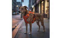 Reflective Dog Vest Harness Lightweight 2-in-1 Dog Harness Leash Get Loose-Resistant for Outdoor