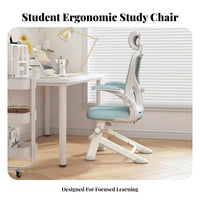 Lumbar Support Adjustable Ergonomic Student Chair Stable Base Desk Seating Padded Seat Cushion Home Furniture Space-Saving for Students, Teenagers, Studying, Writing, Study Room, Small Spaces