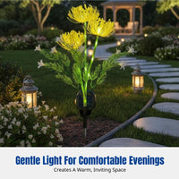 Outdoor Waterproof LED Solar Stake Light, Simulated Spider Lily Flower, Garden Decorative Light