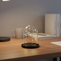 Glass Dome with Base Dustproof Preserved Flower Display Dome Desktop Display Cloche Modern Minimalist Design for Bedroom, Study