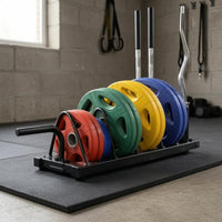 Fitness Disc Holder Angled Dividers Barbell Rack Side Handle