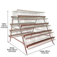Tiered chicken cage, galvanized steel cage for laying hens, multi-level poultry cage for egg production, hygienic chicken keeping