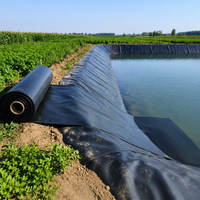 Matte Black Pond Liner for Pond Construction, Flexible HDPE DPM Membrane, Waterproof Geomembrane Sheet