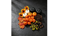 Artificial Pumpkins Assorted Fake Pumpkins with Maple Leaves Mixed Pumpkin Set for Decorators, Thanksgiving, Table Styling, Wreath Making