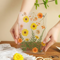 Acrylic Dried Flower Frame DIY Craft Flattened Floral Frame Minimalist Style