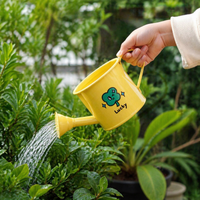 Traditional Indoor Watering Can, Small Iron Watering Can for Houseplants, Painted Metal with Showerhead Rose