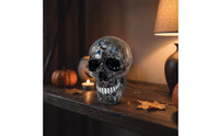Skull Figurine Dark Statue Realistic for Tabletop
