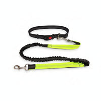 Woven Strap Pet Collar Leash Kit for Walking
