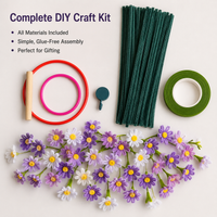 DIY craft kit