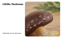 Realistic Toadstool Model Highly Detailed Simulation Toadstool Clear Texture