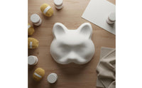 PVC Plastic Mask Easy to Paint Blank White Mask DIY Project for Crafters, Adults