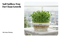 Hydroponic Sprouting Tray Transparent Design Round Germinator Soilless Germination Kit Food Grade Material for Windowsill