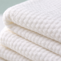 Double Layer Drying Towel Cap, Super Absorbent Thick Turban for Women Wrap for Travel Hotel Gym, 25.6 X 9.8 Inch Quality
