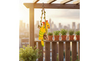 Parrot on Swing Decoration Realistic Design Resin Parrot on Swing Cockatoo Garden Figurine Long-Lasting Lively Hues for Patio