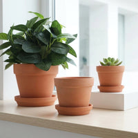 Plant Pots and Flower Pots for Outdoor Plants, Ceramic Pot for Home Office Decor, Terracotta Plant Pots with Normal Process Variations, Clay Pot