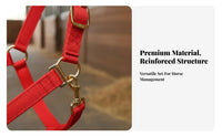 Double Ply Horse Headcollar Additional Thick Horse Leading Halter Equestrian Supplies Reinforced Long-Lasting for Training