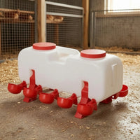 Ground-Standing Chicken Waterer with Cups Weight-operatedFed Automatic Poultry Drinker Large Poultry Waterer Easy-Install for Ducks, Geese, Farm