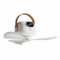 Ceiling Fan Light 3 Speed Settings Home Appliance for Dorm Room, Outdoor Camping
