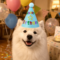 Dog Birthday Goods, Birthday Hat, Felt, Embroidered, For Large Dogs, 15cm