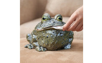Decorative Toad Tissue Box Holder Whimsical Toad Tissue Holder Funny Home Decor Humorous for Bathroom