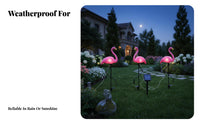 Waterproof Solar Flamingo Light Weather Resistant Flamingo Solar Light Easy to Install for Patio, Pathway