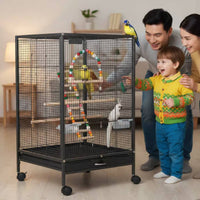 Metal Bird Enclosure Wooden Perches Wire Bird Enclosure Food Boxes