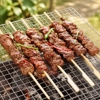 Stainless Steel Grill Grate, 30.5x21.6cm Rectangular Perforated BBQ Grate, Rust Resistant Cooking Grate for Camping & Home