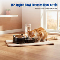 Pet Bowl, Slanted Cat Bowl, Automatic Water Replenishment, 2-in-1 Food & Water Dish for Cats and Dogs