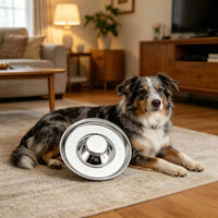 Anti-Gulping Cat Platter Tip-Resistant Stainless Animal Bowl Dish Hygienic Multi-Animal Food Bowl for Fast Eaters