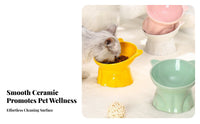 Anti-Tip Tilted Ceramic Pet Feeder Ergonomic Design Elevated Cat Bowl Non-Skid Base for Small Dogs, Senior Pets, Mealtime, Kitchen, Indoor