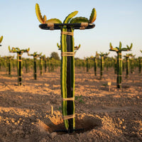 Dragon Fruit Trellis Heavy Duty Pitaya Support Frame High Hardness Vertical Plant Climbing Stand for Farmers, Gardeners, Orchard, Greenhouse, Garden