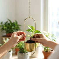 Home Decoration Plant Pots for Indoor Plants, Gold Metal Planter Hanging Basket with Chain, Smooth Wall Planter, Water Saving Hanging Plant
