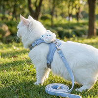 Cat Vest Harness and Leash Set, Durable Polyester Walking Vest with Adjustable Strap, No Pull Walking Harness for Cats for Safe Outdoor Exploration
