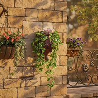 Hanging Marine Blossom Pot Easily Mount fishes Shaped Wall Planter Lightweight Garden Supply for Balcony, Outdoor