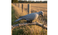 Highly Detailed Realistic Dove Decoy Lightweight Pigeon Decoy Weather Resistant for Hunters, Gardeners, Patio, Target Practice