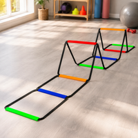 agility ladder