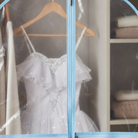 Clear Garment Bag for Dance Costumes with 3 Pockets, 40-inch