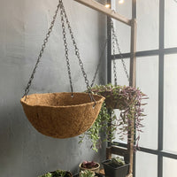 Hanging Basket for Garden Decor and Hanging Plant Display, 5 Pack Metal Hanging Planter with Coconut Coir Liner, Wall Planter Garden Decoration