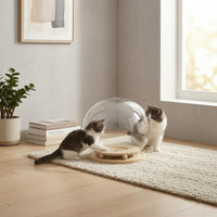 Acrylic Cat Dome Bed Built-in Balls Rotating Cat Bed Pet Furniture Round