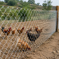 Wire Mesh Animal-proof Fence Wire Mesh Galvanized Low Carbon Steel Slope Reinforcement Construction Site Animal Enclosure Customizable