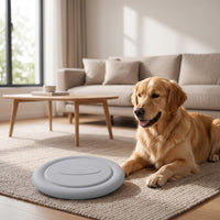 Raised Rim Flying Disc Dog Toy Lightweight Flying Disc Fetch Toy Long-Lasting Pet Flying Disc Safe on Teeth for Young Dogs, Park, Backyard