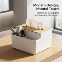 Multifunction Tissue Box Holder, Tissue Paper Holder Dispenser, Modern Tissue Box Organizer, Tissue Box for Living Room, Stylish Tissue Box Holder
