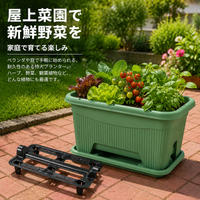 Rectangular Planter, Flower Pot, 50cm, Deep Type, 33L, Made of Polypropylene Resin, For Home Gardening & Balcony Gardening, With Drainage Filter Net & Tray