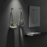 2 Pieces Contemporary Design Wall Mounted Hydroponic Vase Easy to Install Egg Shape Glass Plant Holder Multi Use Clear Hanging Flower Pot