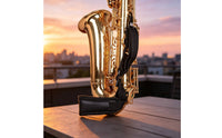 Saxophone Neck Strap with Metal Hook Saxophone Neck Strap Simple Adjustment for Saxophonists, Music Practice