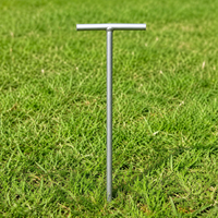 tent stake
