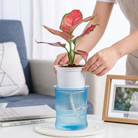 Plant Pots for House Plants and Indoor Plants, Self Watering Indoor Plant Pot with Transparent Double Layer, Creative Minimalist Flower Pots